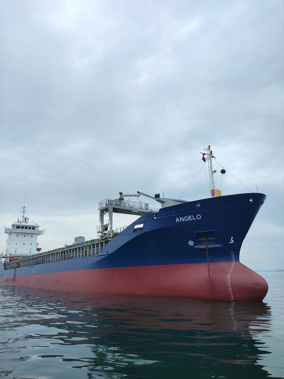 M/V ANGELO