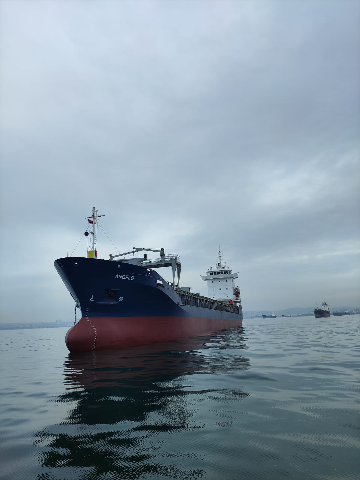 M/V ANGELO